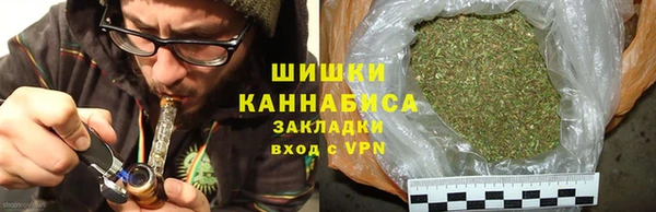 сатива Заволжск