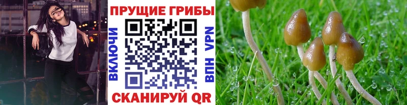маркетплейс наркотические препараты  Среднеуральск  Галлюциногенные грибы MAGIC MUSHROOMS  магазин   