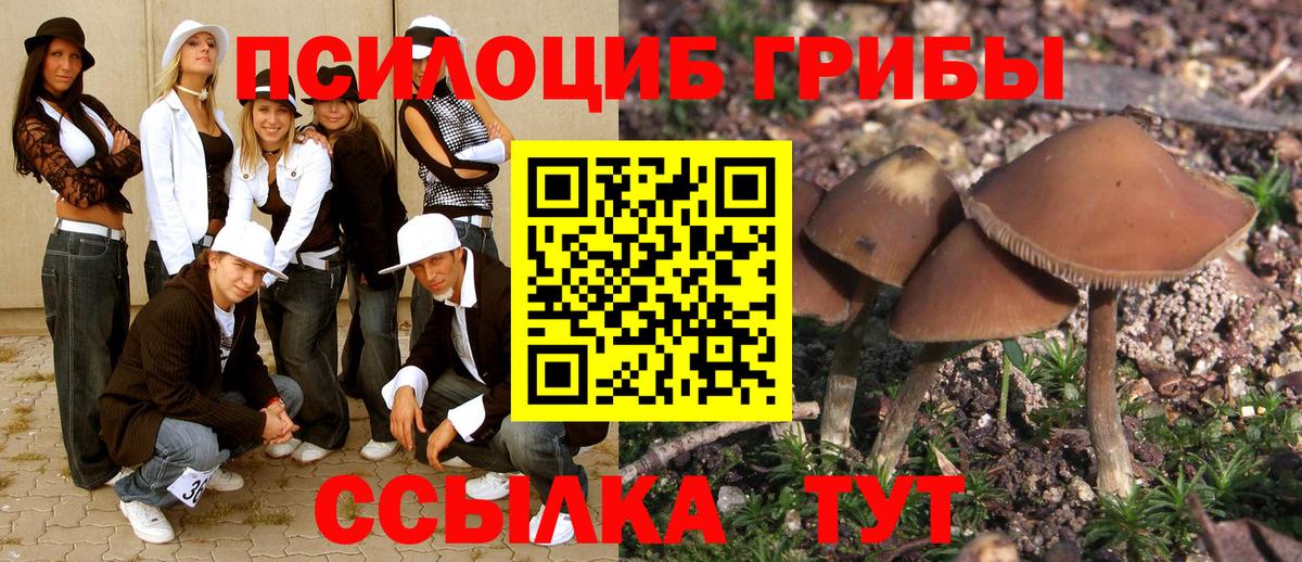 Среднеуральск  Галлюциногенные грибы Psilocybe  Вход с VPN 